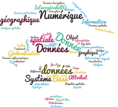 Figure 10 : Nuage de mots techniques dans le domaine de la  géomatique