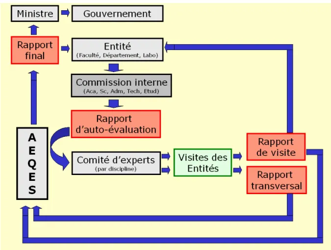Figure 1: Processus d’évaluation de la qualité mis en place en Communauté française de Belgique par  l’AEQES