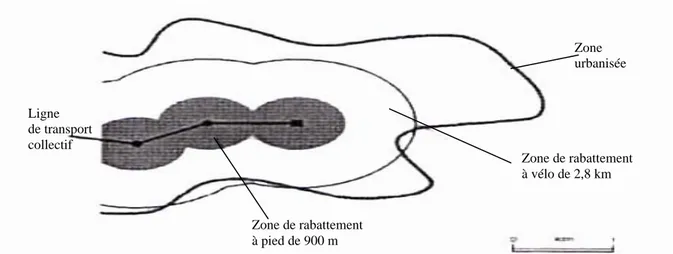 Figure des zones de rabattement à pied et à vélo, source CERTU, 2000, « Le vélo, un enjeu pour la ville » 