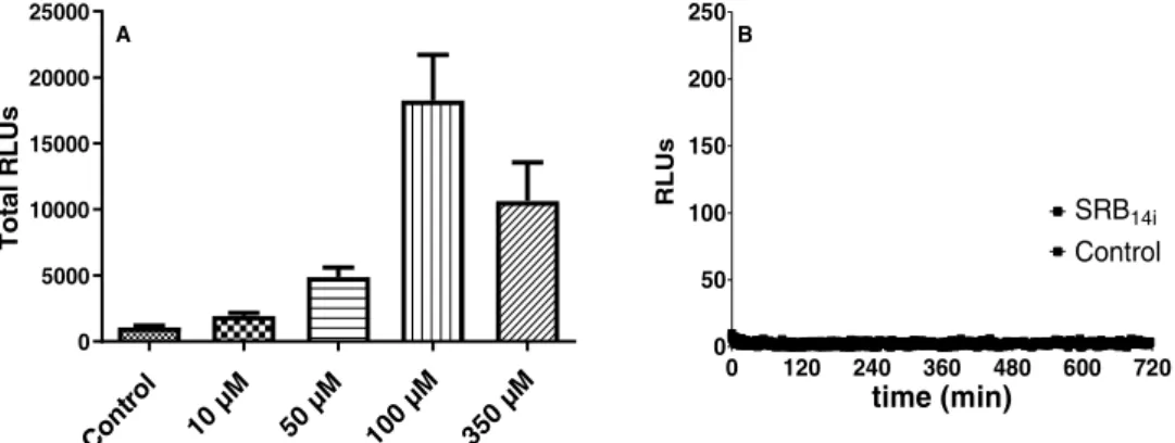 Figure 4.  Dose response and rbohD dependence of extracellular ROS production induced by SRB 14i 