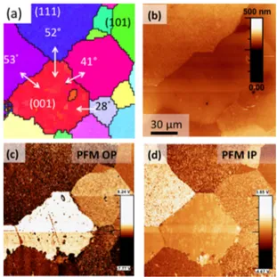 FIG. 3. Enlarged mapping on BiFeO 3 (001)-oriented grain. (a): EBSD col- col-our code orientation map, (b): PFM Topography, (c): Out-of-plane PFM, and (d): In-plane PFM.