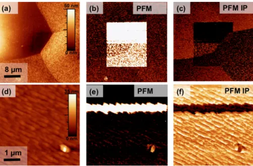 FIG. 4. Polling measurements of BiFeO 3 films across triple junctions (a)–(c) and grain boundaries (d)–(f)