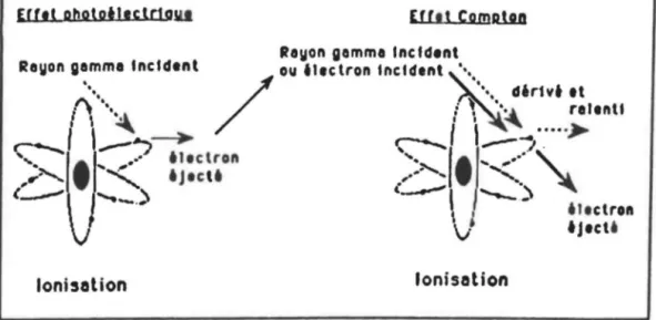 Figure 3: Mode d'action de l'irradiation 