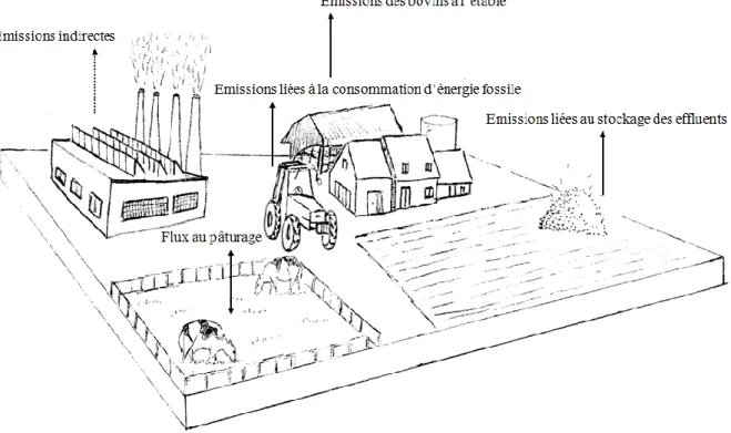 Figure  1 :  Représentation  schématique  des  échanges  de  gaz  à  effet  de  serre  à  l’échelle  d’une  exploitation  d’élevage  de  bovins  producteurs  de  viande  (flèche  discontinue :  émissions  indirectes ;  flèches continues : émissions directe
