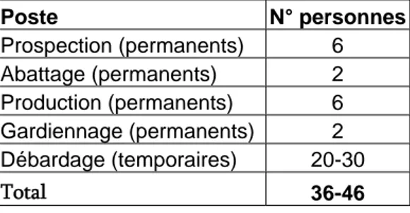 Tableau 1. Postes de travail crées par la FC au niveau local 