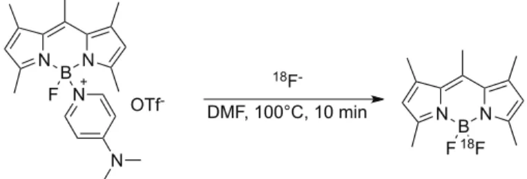 Figure 1 : Synthesis of [ 18 F]-BODIPY through DMAP-activated BODIPY. 