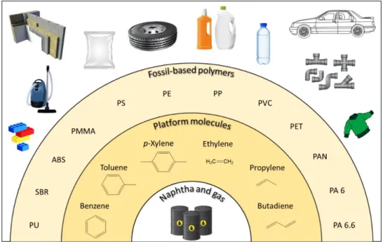 Figure 1: important platform molecules and synthetic polymers derived from the petrochemical  industry (this list is not exhaustive)