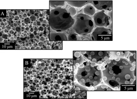 Figure 1. Scanning electron microscopy images of a polyacrylamide polyHIPE before (A) and  after (B) methyl methacrylate dispersion polymerization within the cavities