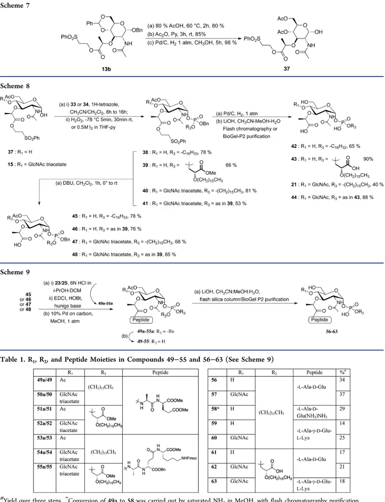 Table 1. R 1 , R 2 , and Peptide Moieties in Compounds 49−55 and 56−63 (See Scheme 9)
