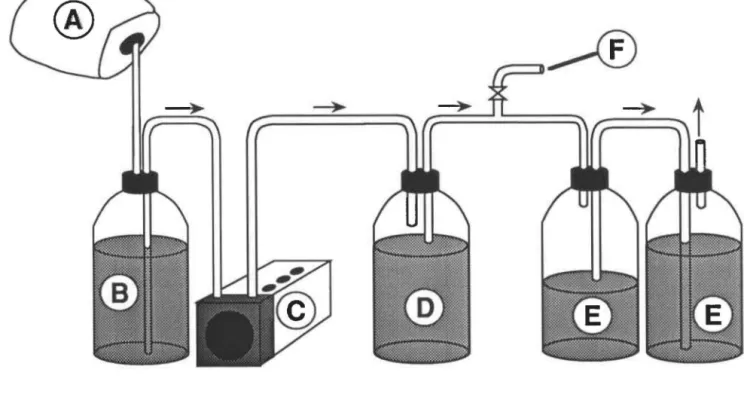 FIGURE 6:  Schéma des bioréacteurs  à  alimentation continue {réacteurs B1, B2 et 83)