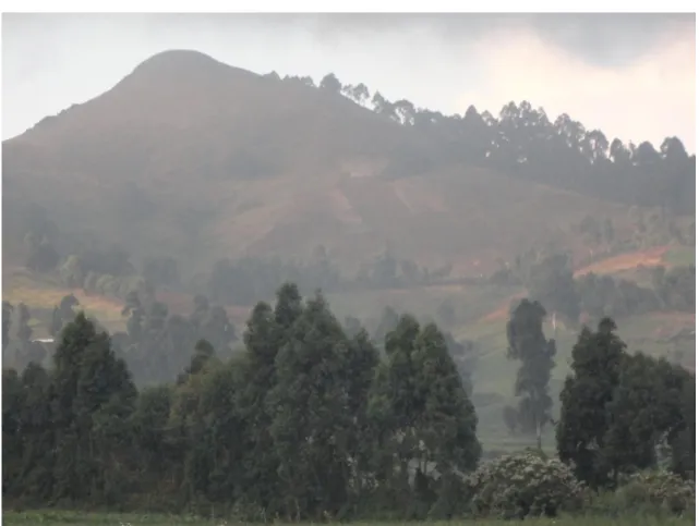 Figure 2-4 Photo du relief des hauts plateaux de l’Ouest – Cameroun  Source : Image auteur, 2012