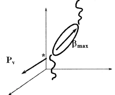 Figure 25. Représentation de la position de l'hyperpolarisabilité maximal (Pmax) et de la polarisation (P)  chez les CLFs