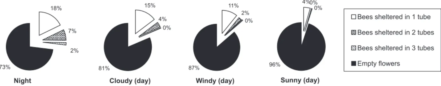 Fig. 3. Proportion of flowers sheltering bees and spatial location of the bees inside the flower (occupying one, two, or the three pollination tunnels) at night and during the day under three climatic conditions (cloudy, windy, sunny) at The Cedars.