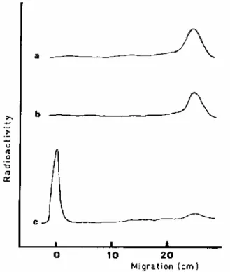 FIG. 2. Separation of the products of the polymerization reaction by paper chromatography