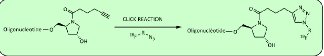 Figure 5: Crystal structure (ORTEP) of  the compound 8. 