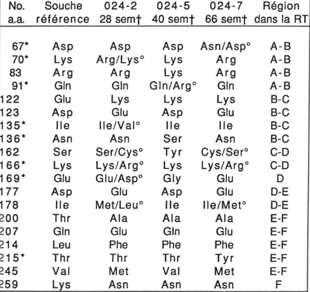 Tableau  2:  Comparaison  des  substitutions  des  acides  aminés  retrouvés  dans  le  fragment  amplifié  de  la  RT  du  VIH-1  provenant  du  patient  024  sous  traitement  à  l' AZT  avec  une  souche  de  référence  (HIVBRU)