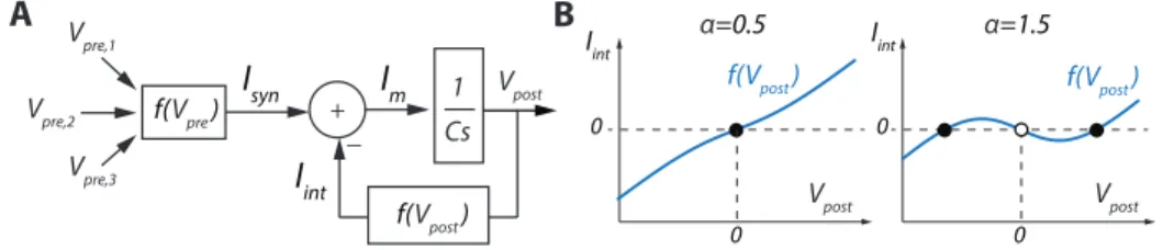 Figure 1: A. One timescale control diagram of a neuron. B. Plot of the function I int = V post − α tanh(V post ) for two different values of α