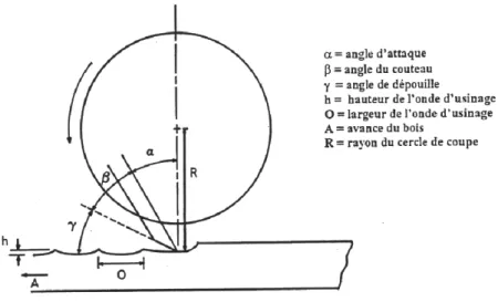 Figure 1.8: Schéma illustrant la coupe périphérique en opposition (adapté de Wengert  1988)