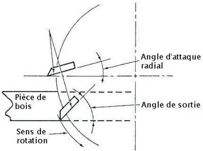 Figure 1.12: Schéma d’une vue de dessus illustrant la coupe périphérique rotative (adapté  de Stewart 1985)