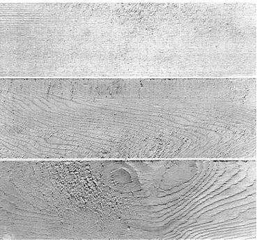 Figure 1.14: Divers niveaux de fil laineux ou fil pelucheux à la surface du sapin  Engelmann (tiré de ASTM D-1666 1987)