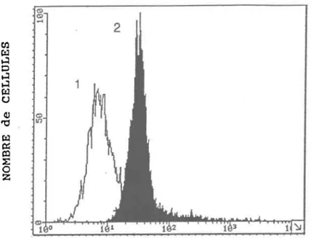 FIGURE  12.  Histogramme  de la fluorescence  à 530 nm émise après une incubation  de 30 min avec 1 pM de FDA chez I'algue Selenastrum capricornutum.