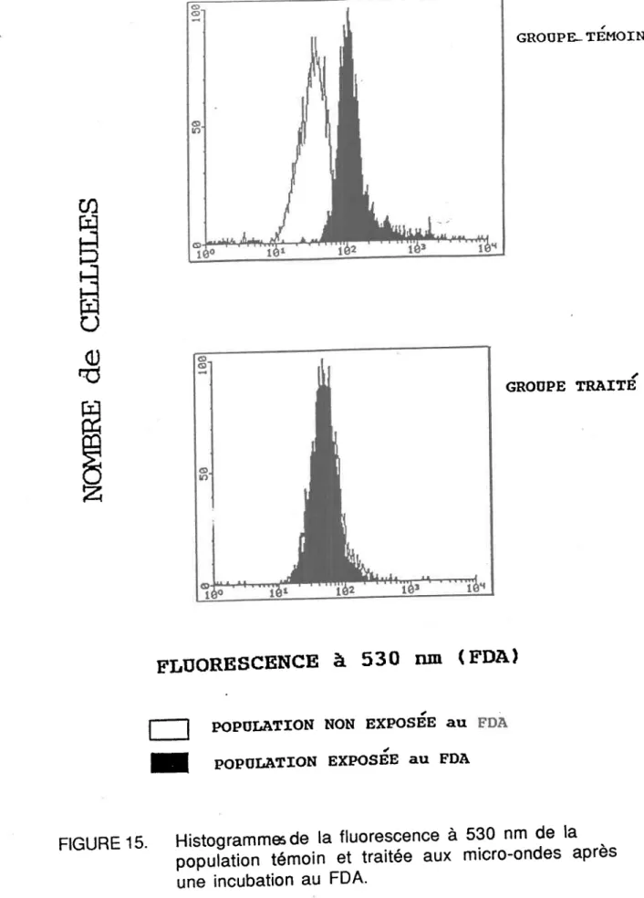 FIGURE  15.  Histogrammesde  la fluorescence  à 530 nm de la pàîrËtrn  témoin et traitée aux micro-ondes  après une incubation  au FDA'