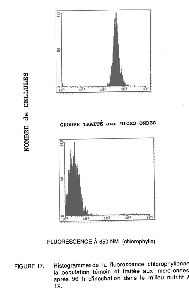 FIGURE  17.  Histogrammes  de la fluorescence  chlorophylienne  de la population  témoin et traitée aux micro.ondes apres'96 h d'incubation  dans le milieu nutritif  AAP