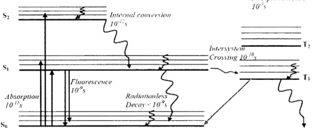 Figure I.25.Energy level diagram illustrating the radiativeand the non-radiative processes