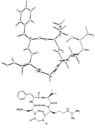 Figure 3. Cyclopeptide c(RGDfV).