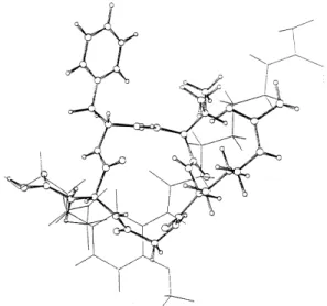 Figure 5. Superposition of 16a and DMP728. Figure 6. Superposition of 16a and c(RGDfV).