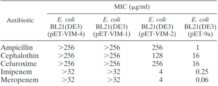 TABLE 1. In vitro antimicrobial susceptibility profile of E. coli BL21(DE3) carrying recombinant vectors in which the