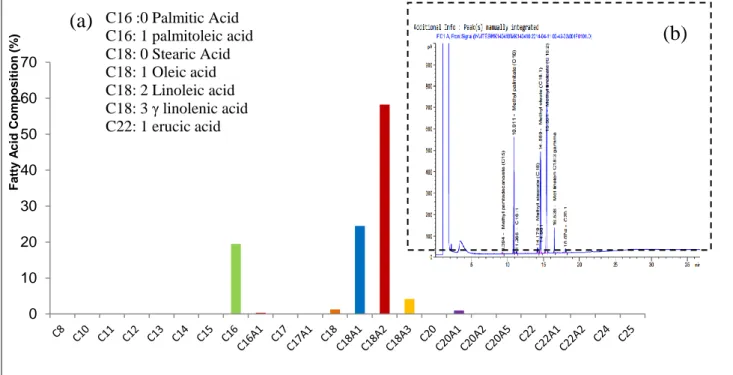Figure  1:  (a)Fatty  acids  composition  for  Tunisian  durun  wheat  germ  oil  (C16 :0  Palmitic  Acid,  C16:  1  palmitoleic  acid,  C18:  0  Stearic  Acid,  C18:  1  Oleic  acid,  C18:  2  Linoleic  acid,  C18:  3  γlinolenic  acid,  C22:  1  erucic  