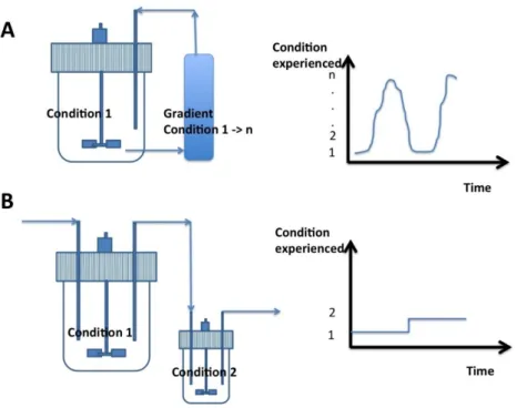 Figure 1. Fermentation devices that can be used for improving the viability of probiotics: (A) Batch  cultivation devices based on the recirculation of microbial cells between a stirred bioreactor and   a plug-flow recycle loop