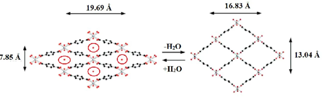 Figure  29.  Représentation  schématique  du  processus  réversible  de  respiration  du  MIL-53lt