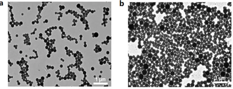Fig 1. TEM images of Abam-PLA nanoparticles (a) and Abam-PLA-Tannin nanoparticles (b).