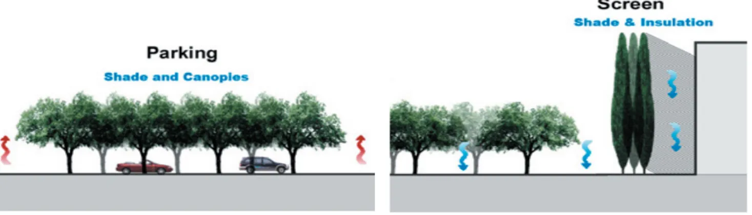 Figure 3.a. Section in the Parking and Roads Zone             b.Section in the Building Interface Zone 