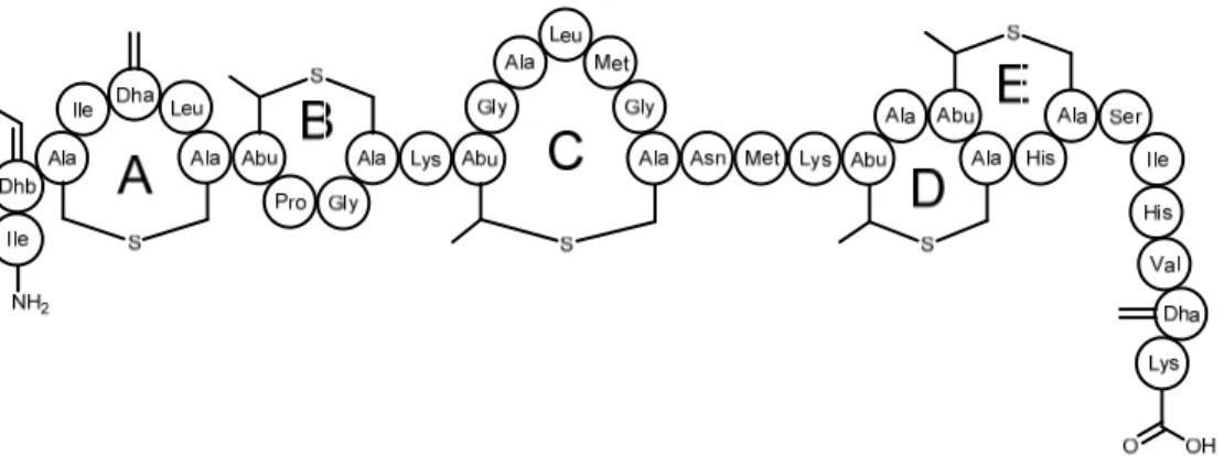 Figure 11. Nisin, a cytoplasmic membrane-targeting lantibiotic. 