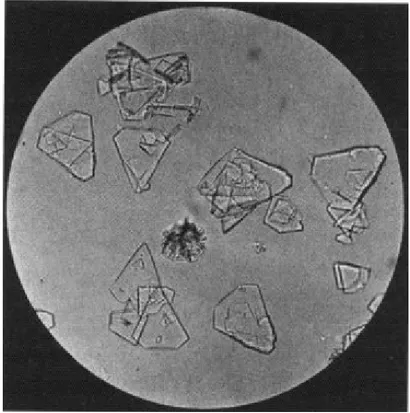 Figure 2. Triangle-like hexagonal plate of the more insoluble isomer of 2.[3] 