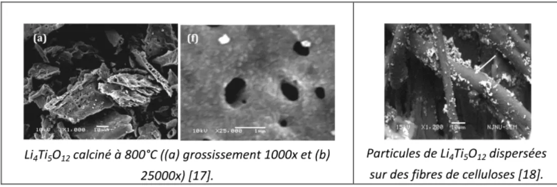 Figure 2 - 6 : micrographies électroniques reprises de la littérature pour la synthèse par combustion