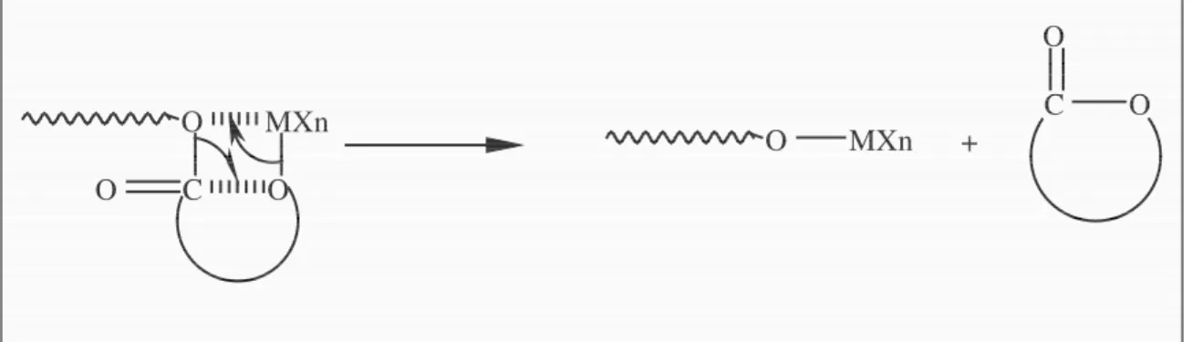 Figure 2.3 :  Réactions de transestérification intra- et intermoléculaire pour un processus       anionique