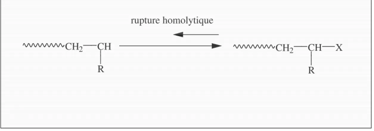 Figure 2.10 : Equilibre entre espèce propageante et non propageante pour ATRP. 