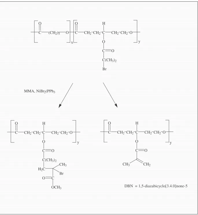 Figure 2.16 : Modification du poly( γ -(2-bromo-2-méthylpropionyl)- ε -caprolactone)  par réaction d’élimination et  réaction ATRA