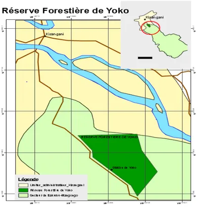 Figure 1. Carte de la Réserve Forestière de Yoko (Source : GEMBU, 2012). 