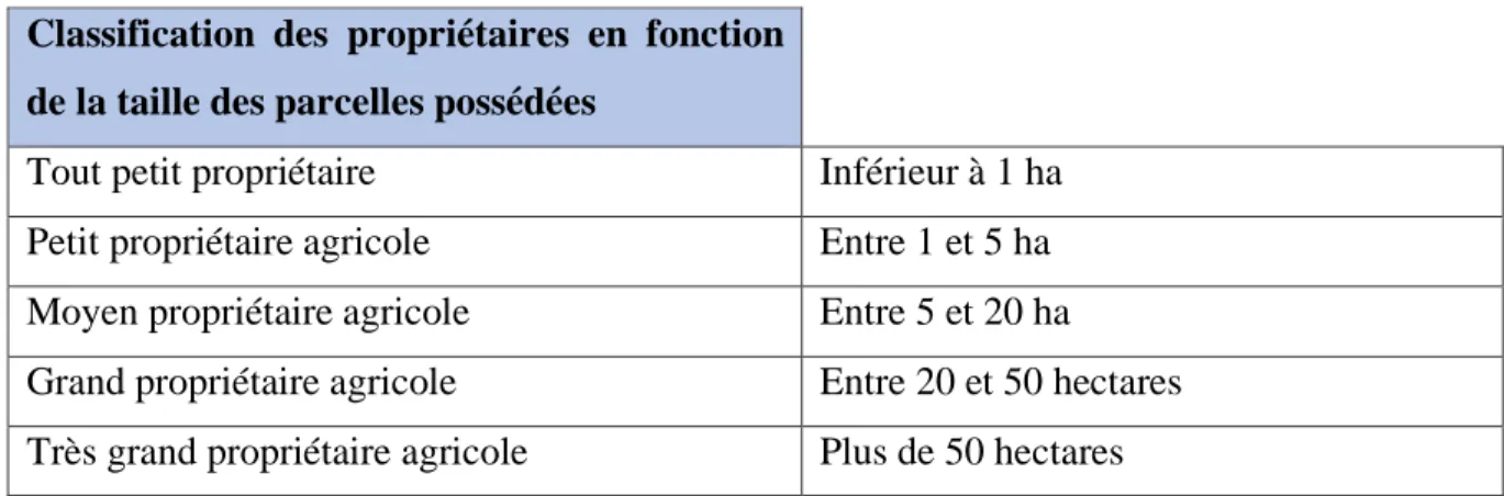 Figure 11 : Classification des propriétaires en fonction de la taille des parcelles possédées  Nous avons ensuite détaillé au sein des  exploitants céréaliers les spécificités de la production