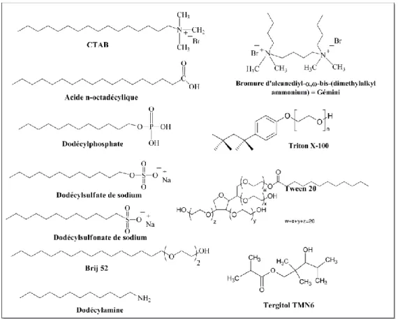 Figure I-9 : Principaux tensioactifs utilisés comme agents structurants de la silice. 