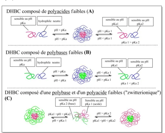 Figure I-22 : Différentes voies d’accès à l’obtention de nano-objets micellaires formés par  l’auto-assemblage de DHBC avec une variation de pH