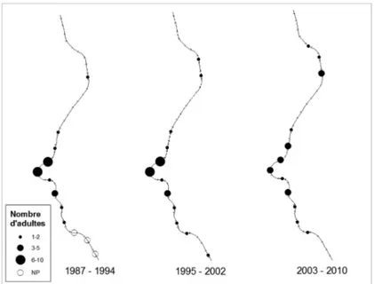 Figure 5: Distribution and abundance map of the common lizard (Zootoca vivipara) on 19 km railway  track monitored between 1987 and 2010