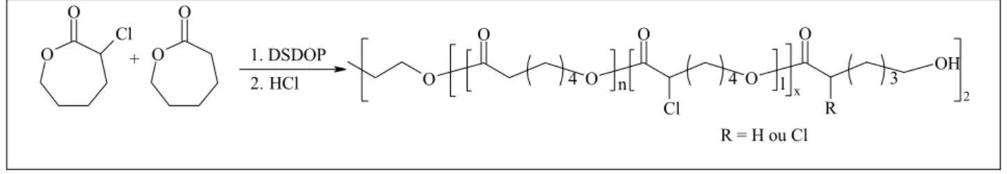 Figure 3.10: Schéma réactionnel de la synthèse d’un  copolymère statistique poly(αClεCL-co-εCL)