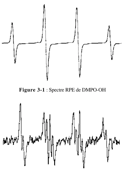 Figure 3-1 : Spectre RPE de DMPO-OH