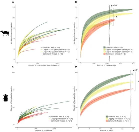 Figure 2.2: Individual-based and sampled-based rarefaction curves for mammals (A  and B) and dung beetles (C and D)